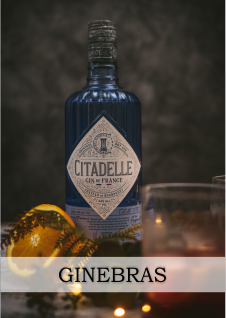 Ginebra Citadelle Naranja Vaso